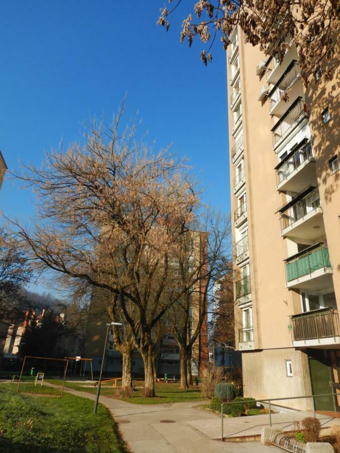 Appartement Architect's